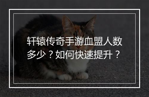 轩辕传奇手游血盟人数多少？如何快速提升？