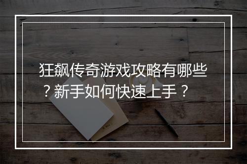 狂飙传奇游戏攻略有哪些？新手如何快速上手？