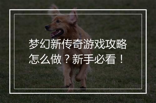 梦幻新传奇游戏攻略怎么做？新手必看！