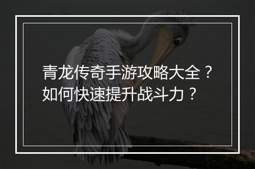 青龙传奇手游攻略大全？如何快速提升战斗力？