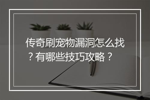 传奇刷宠物漏洞怎么找？有哪些技巧攻略？