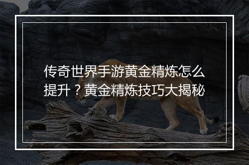 传奇世界手游黄金精炼怎么提升？黄金精炼技巧大揭秘