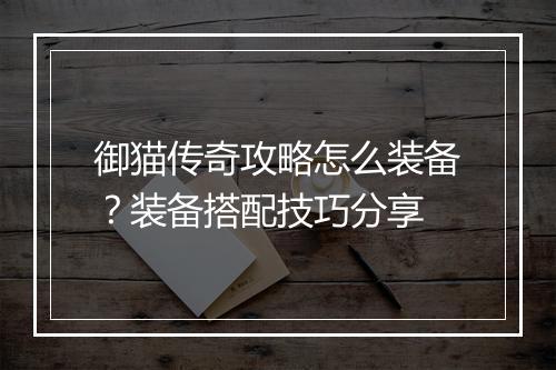御猫传奇攻略怎么装备？装备搭配技巧分享
