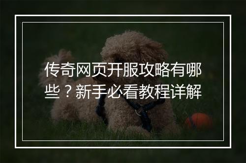 传奇网页开服攻略有哪些？新手必看教程详解