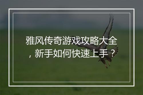 雅风传奇游戏攻略大全，新手如何快速上手？