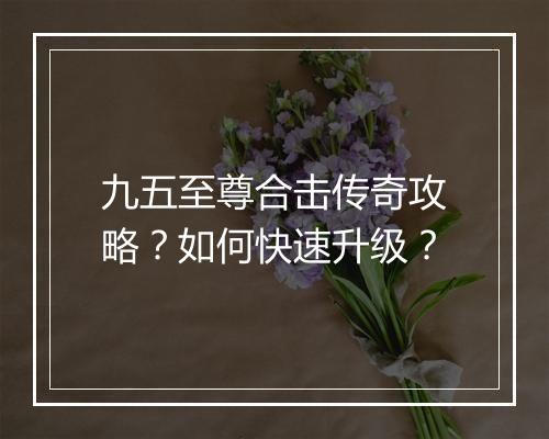 九五至尊合击传奇攻略？如何快速升级？