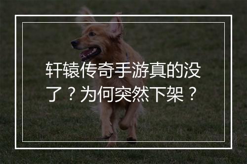 轩辕传奇手游真的没了？为何突然下架？