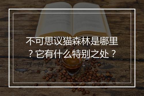 不可思议猫森林是哪里？它有什么特别之处？
