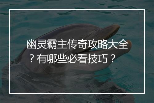 幽灵霸主传奇攻略大全？有哪些必看技巧？