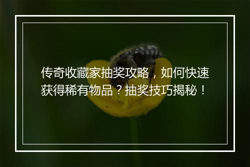 传奇收藏家抽奖攻略，如何快速获得稀有物品？抽奖技巧揭秘！