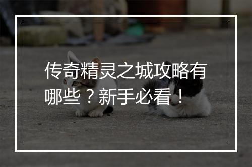 传奇精灵之城攻略有哪些？新手必看！