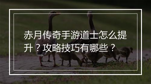 赤月传奇手游道士怎么提升？攻略技巧有哪些？