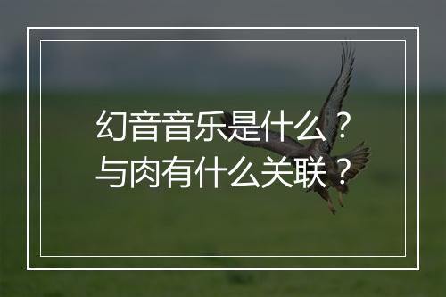 幻音音乐是什么？与肉有什么关联？