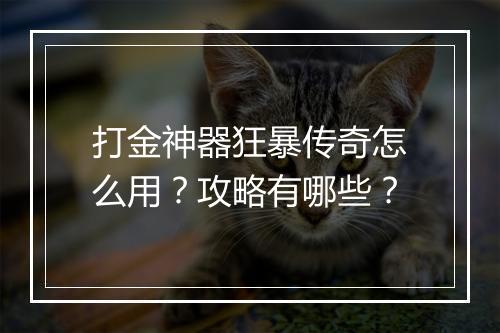 打金神器狂暴传奇怎么用？攻略有哪些？