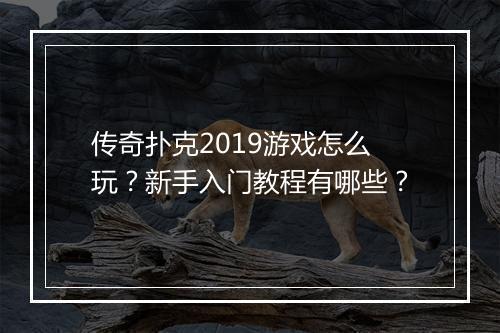 传奇扑克2019游戏怎么玩？新手入门教程有哪些？