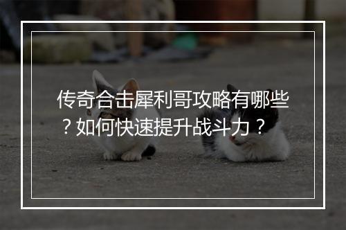 传奇合击犀利哥攻略有哪些？如何快速提升战斗力？