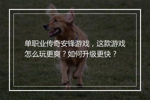 单职业传奇安锋游戏，这款游戏怎么玩更爽？如何升级更快？