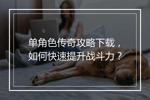 单角色传奇攻略下载，如何快速提升战斗力？