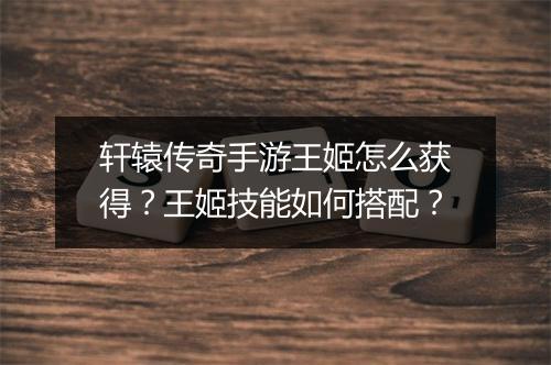 轩辕传奇手游王姬怎么获得？王姬技能如何搭配？