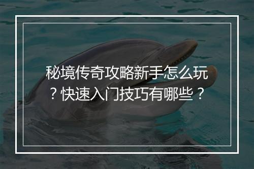 秘境传奇攻略新手怎么玩？快速入门技巧有哪些？