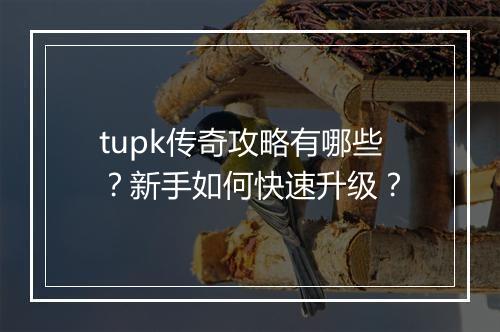 tupk传奇攻略有哪些？新手如何快速升级？