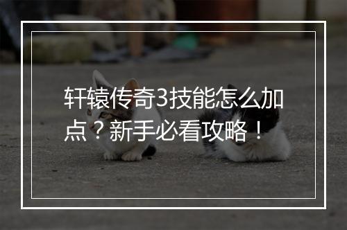 轩辕传奇3技能怎么加点？新手必看攻略！