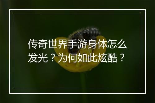传奇世界手游身体怎么发光？为何如此炫酷？