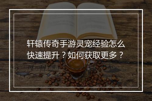 轩辕传奇手游灵宠经验怎么快速提升？如何获取更多？