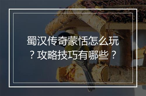 蜀汉传奇蒙恬怎么玩？攻略技巧有哪些？