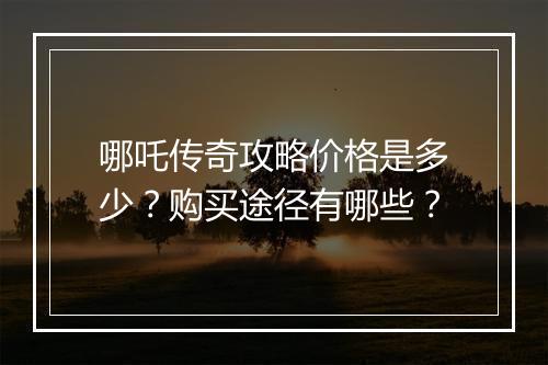 哪吒传奇攻略价格是多少？购买途径有哪些？