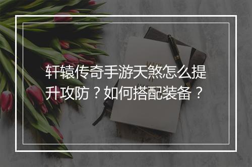 轩辕传奇手游天煞怎么提升攻防？如何搭配装备？