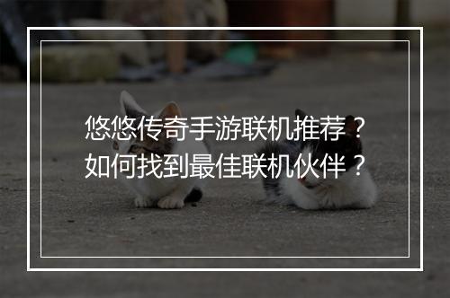 悠悠传奇手游联机推荐？如何找到最佳联机伙伴？