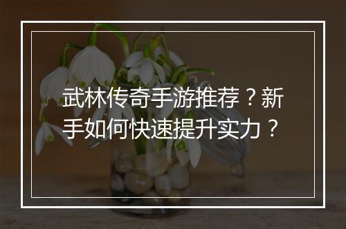 武林传奇手游推荐？新手如何快速提升实力？