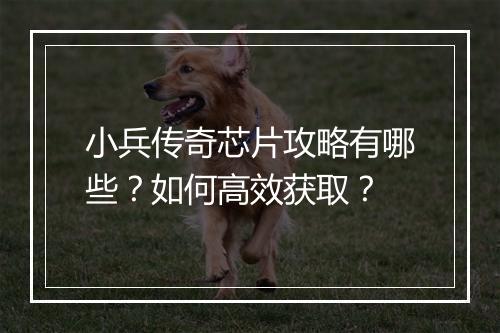 小兵传奇芯片攻略有哪些？如何高效获取？