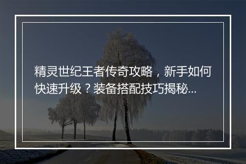 精灵世纪王者传奇攻略，新手如何快速升级？装备搭配技巧揭秘？