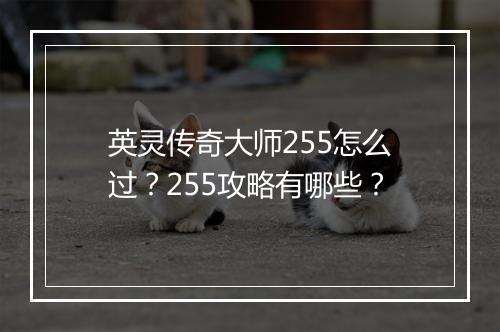英灵传奇大师255怎么过？255攻略有哪些？