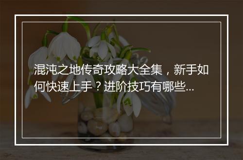混沌之地传奇攻略大全集，新手如何快速上手？进阶技巧有哪些？