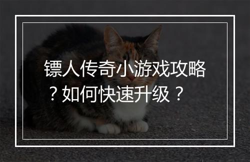 镖人传奇小游戏攻略？如何快速升级？