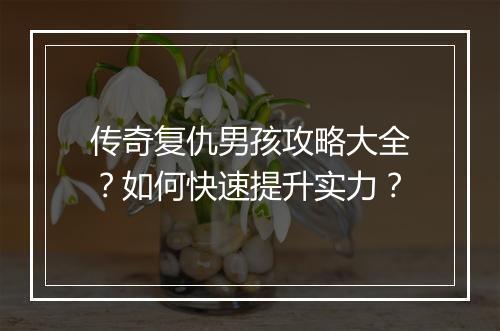 传奇复仇男孩攻略大全？如何快速提升实力？