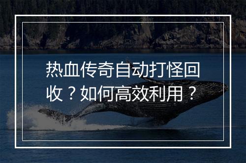 热血传奇自动打怪回收？如何高效利用？