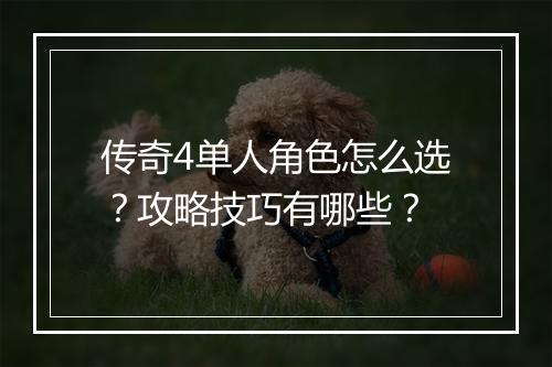 传奇4单人角色怎么选？攻略技巧有哪些？