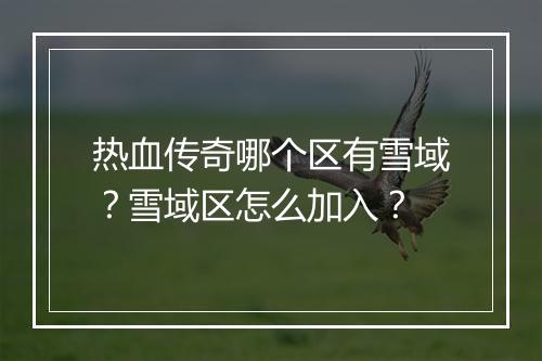 热血传奇哪个区有雪域？雪域区怎么加入？