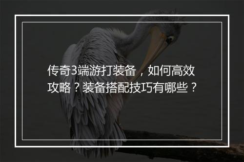 传奇3端游打装备，如何高效攻略？装备搭配技巧有哪些？