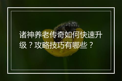 诸神养老传奇如何快速升级？攻略技巧有哪些？