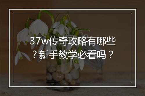 37w传奇攻略有哪些？新手教学必看吗？