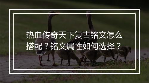 热血传奇天下复古铭文怎么搭配？铭文属性如何选择？
