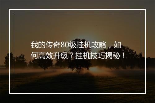我的传奇80级挂机攻略，如何高效升级？挂机技巧揭秘！