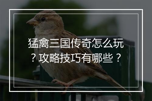 猛禽三国传奇怎么玩？攻略技巧有哪些？
