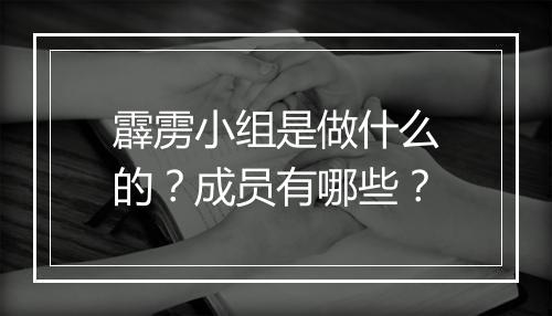 霹雳小组是做什么的？成员有哪些？