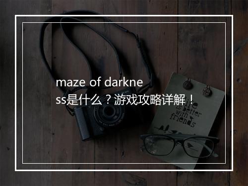 maze of darkness是什么？游戏攻略详解！